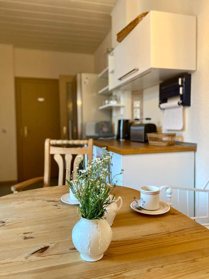 Dommitzsch Ferienwohnung Schmidtalien מראה חיצוני תמונה